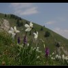 20050528_061